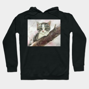 Spring Kitten Hoodie